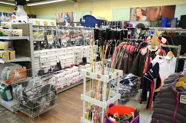 D1 100 782 REiten1 Vieneburg